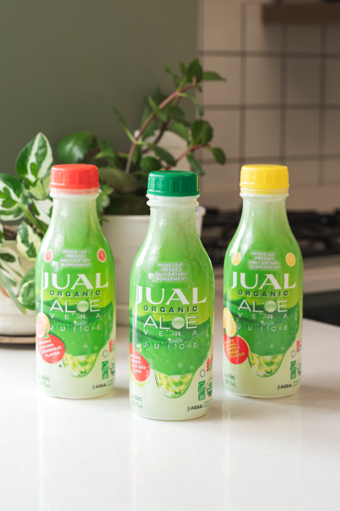 Organic Aloe Vera Juice - Lemon & Ginger Flavor